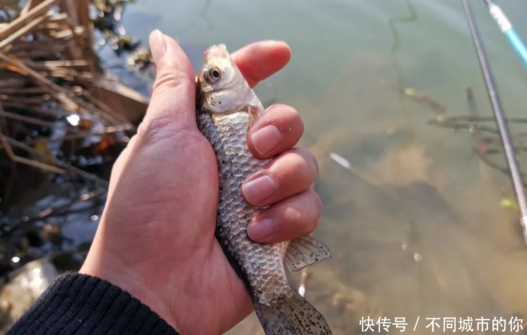  地方肯定：野河鱼少，更不要扎堆垂钓，找个安静角落才有可能上鱼！