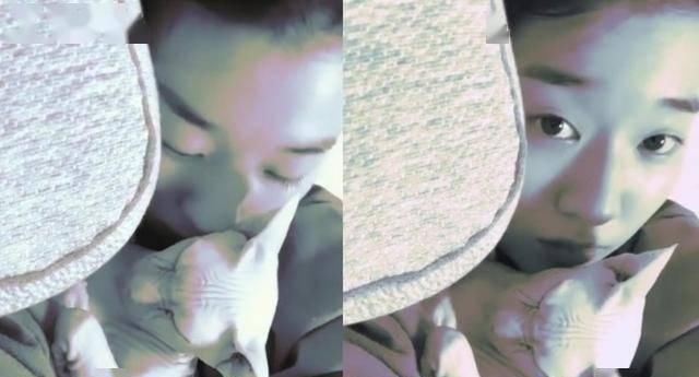  『队友』已故女星崔雪莉26岁生忌 队友Amber晒昔日合照:我们再一起去玩吧
