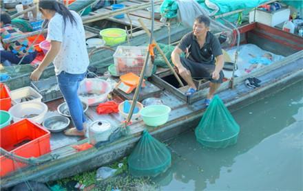 大风大雨都刮不走，中国唯一一座“水上村庄”