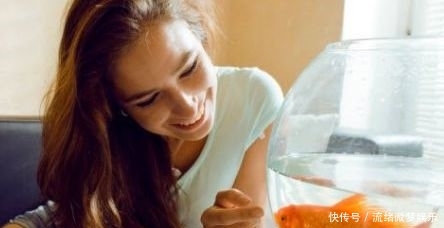 全球十个奇特搞笑酒店排行榜!日本全机器人酒店排第一