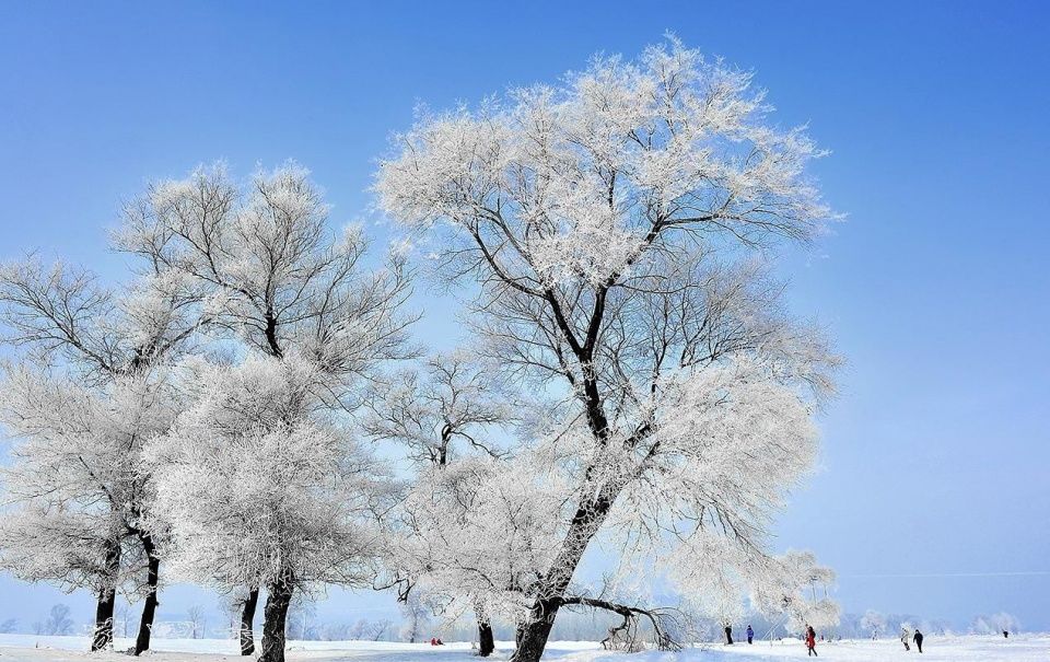 曾经的中国沿海第一大省:今面积不足以前3分之1,距海最近仅3公里