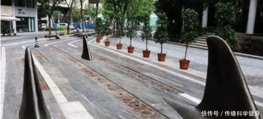 重庆街头出现“鲨鱼鳍”，路人拍手称快，司机叫苦不迭