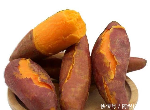 『商品饵』钓了18年鱼后才明白,红薯经过这样“加工”以后,钓大鲤鱼特有效