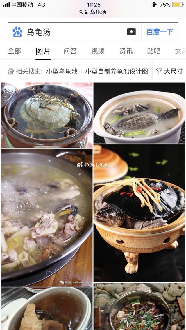 “一个没有感情的广东人”是什么梗?当事人回应令网友捧腹大笑