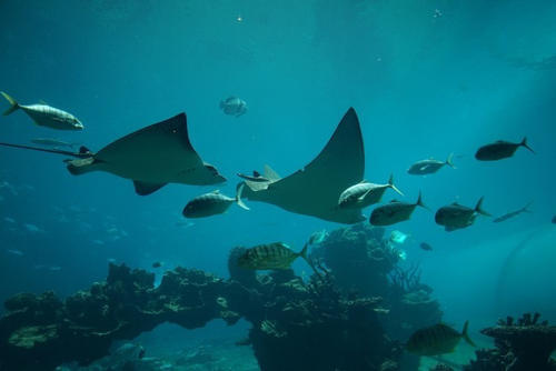 和萌宝的幸福三亚之行