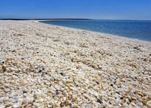 世界之最，崎岖海边悬崖到安静的礁湖，超过一千五百公里的海岸线