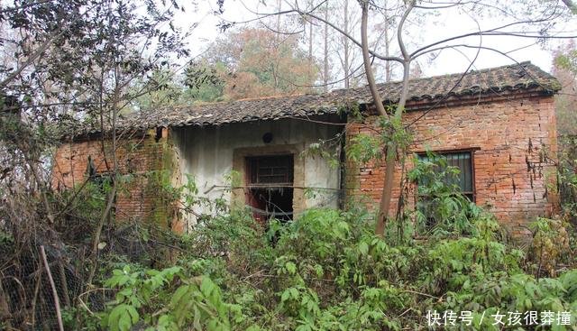 农村又一怪象出现！宅基地没有人要主要是不知道归谁