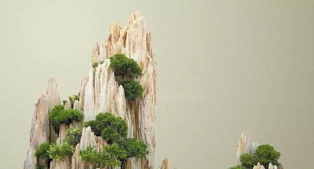  小东西：小东西大作用！山水盆景里的石材你会用吗？