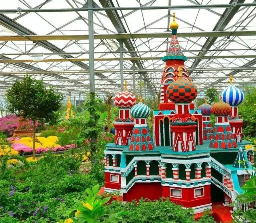 精准扶贫乡村振兴现代农业大有可为