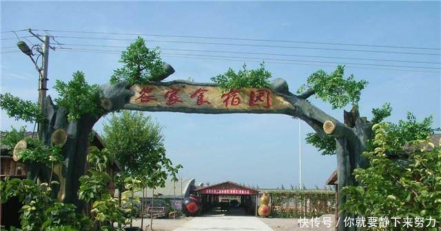 未来10年的农村，什么样的农村人，不会被淘汰反而更赚钱