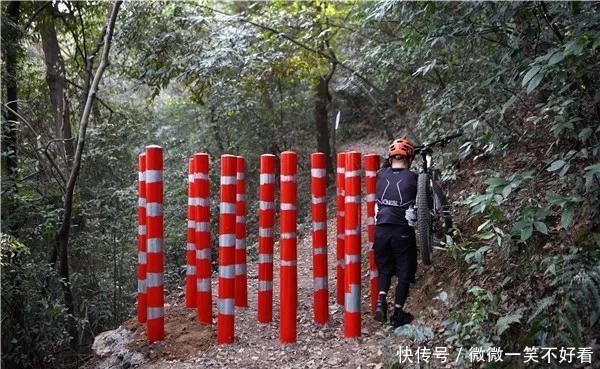 岳麓山“长出”拦路梅花桩，挡不住骑行爱好者