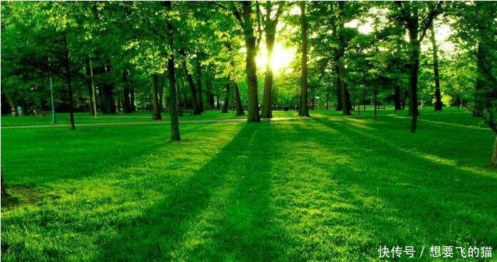 当年红军走过的草地,如今变成什么样了?看到照片让人大开眼界