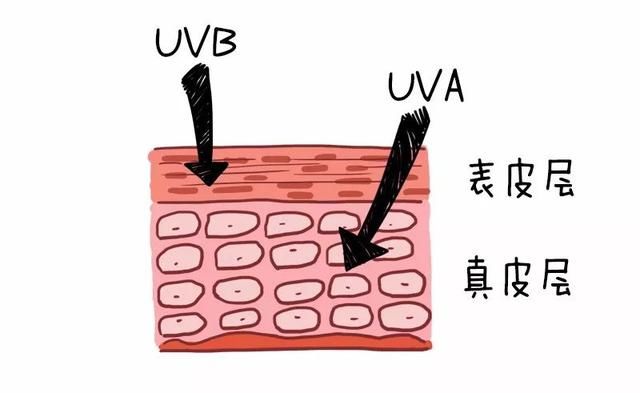 这个summer，要想拒绝colour，“防晒”了解一下！