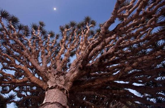 地球上鲜为人知的“外星世界”，远离大陆，独立存在18万个世纪