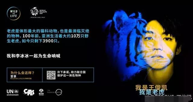 造谣可耻！继早恋、富二代之后，王俊凯又背新黑锅