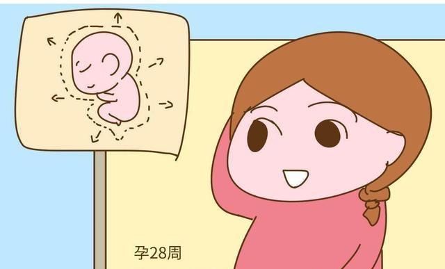  宝宝：胎儿3个快速发育期，孕妈饮食有讲究，别让宝宝输在起跑线！