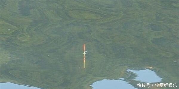 『鱼钩对浮漂』调漂技巧:神奇的无钩调漂方法,不需要考虑饵重