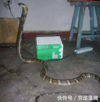 农村老人说过山风专门克制扁头风,真的