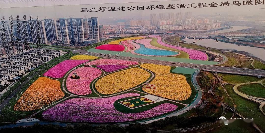  「公园」好消息！南昌新添一处湿地“花海”景观公园