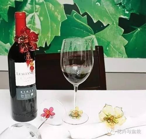  能力■塑料瓶的园艺小创意，考验动手能力的时候到了