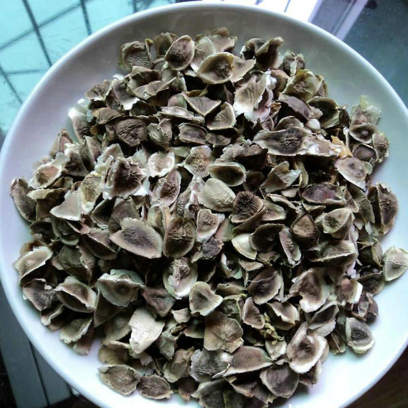 每天吃几颗它,排毒袪斑降血糖,抗菌消炎除口臭