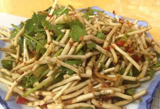  【村民】春季农村的5种野菜，村民不稀罕，城里人当“宝贝”，纷