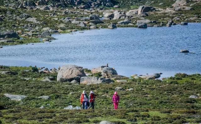 稻城亚丁，不是你梦想中的地方