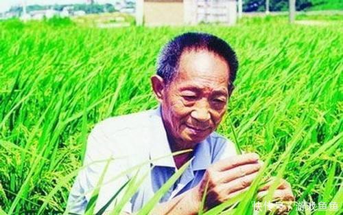  「儿子」袁隆平共有3个儿子都很有出息，其中小儿子做的事让人赞