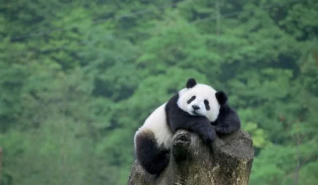 除香港澳门，中国还有一个特别行政区，默默无闻你肯定不知道！