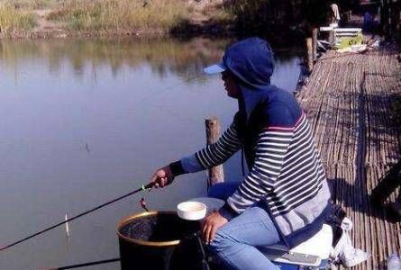  『情况』不打窝渔获好，打窝后反而没渔获，到底是什么情况