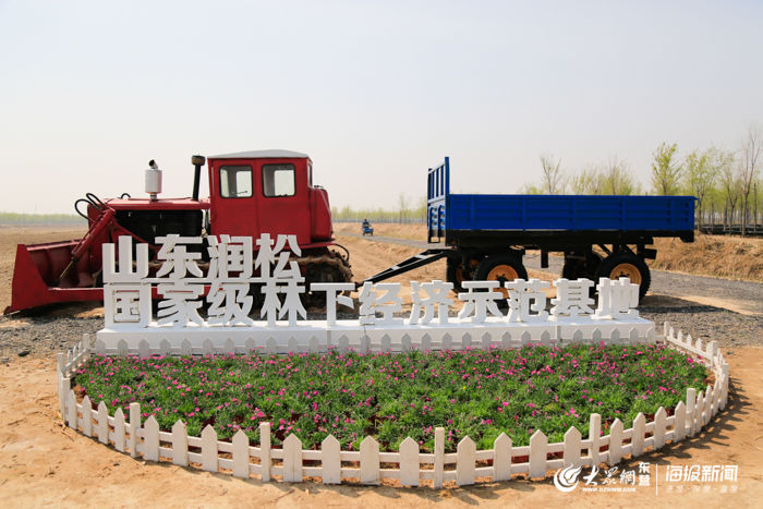 踏青：踏青赏花挖野菜…在山东润松农业享受无边春意！