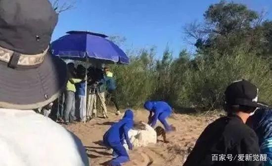 拼命三娘赵丽颖，停工被质疑患病，更博怒怼：讨厌心术不正的人