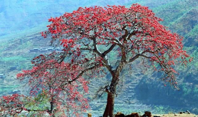 四川最舒适的城市，改名界成功的典范，是个值得一去的地方