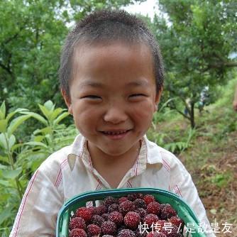  「成了」国内一种没有皮的水果，常烂一地没人要，出口国外却成了稀罕货
