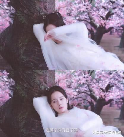 卓伟爆料杨幂刘恺威早已经离婚，杨幂的回应超霸气了