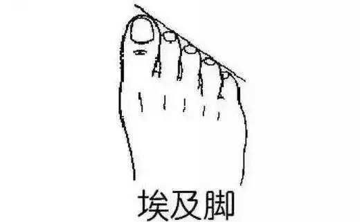 会生活的女人从不乱穿鞋!找对脚型穿对鞋才会美，更加舒适不伤脚