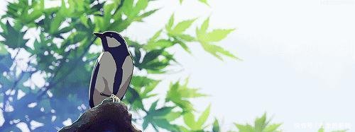 『清明节』心理学家这个清明,追忆故人也疗愈自己