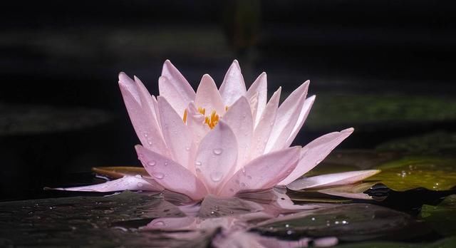 净空老法师：善恶的标准，我们要把它记住