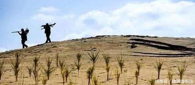 一首《沙漠骆驼》火了,却毁了梭梭树,下一个被破坏的景点在哪