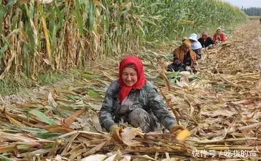 中国8亿农民的现状……心疼