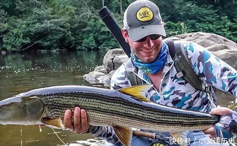 曾经的“长江一霸”，如今却无奈出国，到别国“求生存”