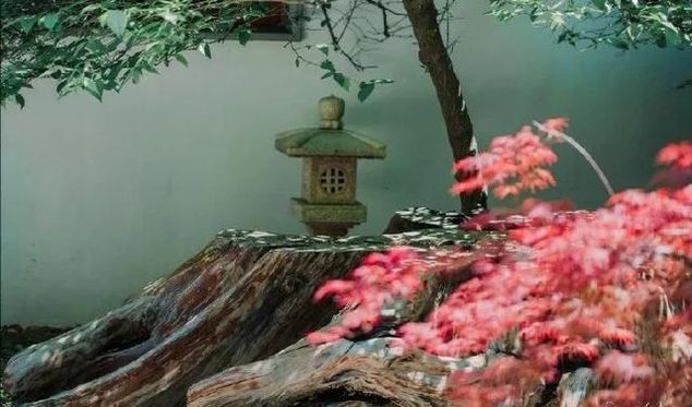 秋来伏未去，十首诗中觅清凉