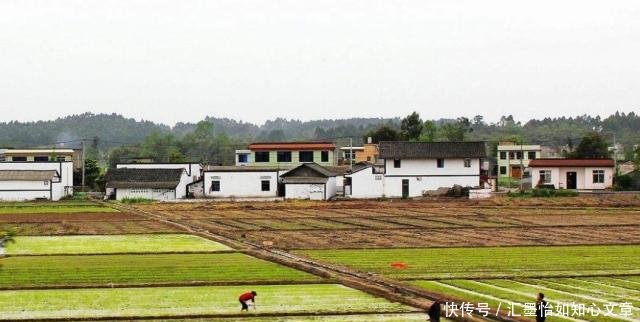  忠告@俗语“村夫硬如铁，光棍软如棉”，后一句才是精华，古人的