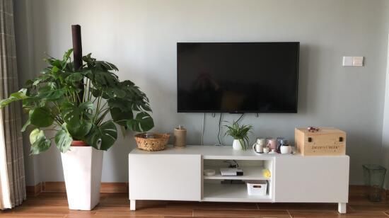 比三亚人少，比青岛消费低!这个高铁直达的小众海岛，景美海鲜多