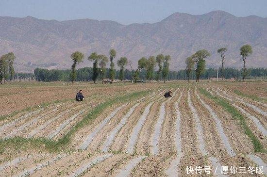  【补贴】粮食补贴新变化，这3类村民将会失去领粮补资格，希望你