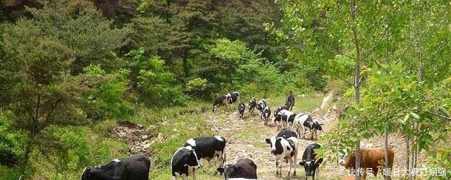 在农村，不出3年，这4类人将“涨工资，自己发工资”，人人有机会