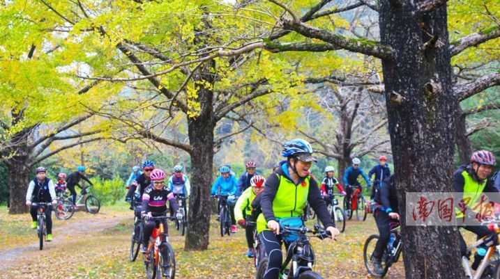 【2018年终盘点】小美景大广西，领略2018年广西醉美瞬间