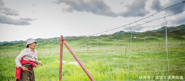 甘肃最大高原淡水湖变迁史 曾三次干涸见底 20年“长”大五倍！