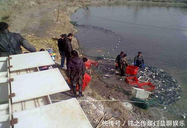  「不少」去年高价不愁卖，今年卖多少亏多少，养殖户：这年不好