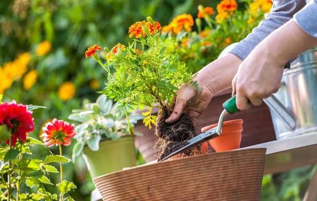 「气温起伏」雷阵雨+中雨!河北大范围降雨又要来,小心强对流